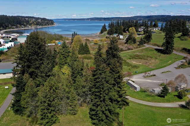 5493 Woodard Ave, Freeland, WA 98249 - photo 34