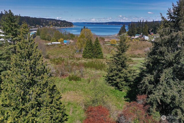 5493 Woodard Ave, Freeland, WA 98249 - photo 35