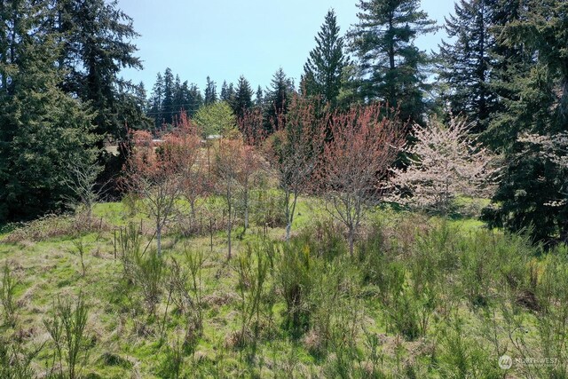 5493 Woodard Ave, Freeland, WA 98249 - photo 38