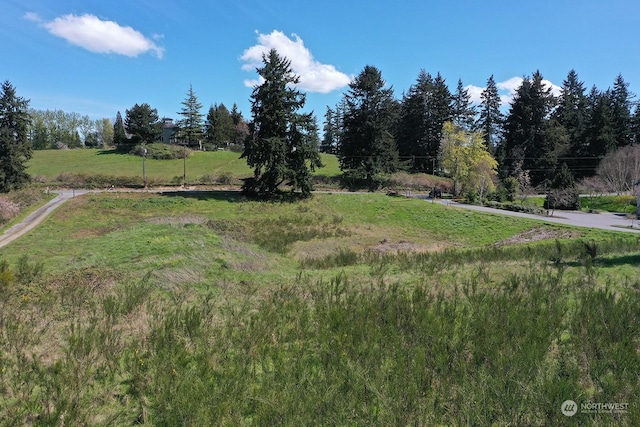 5493 Woodard Ave, Freeland, WA 98249 - photo 39
