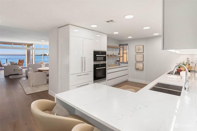 1250 Alki Ave SW Phg, Phg, Seattle, WA 98116 - kitchen featuring a sink, modern cabinets, wood finished floors, white cabinetry, and open shelves