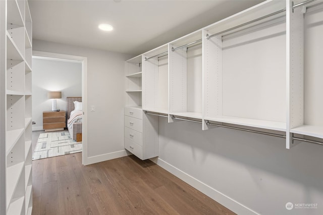 spacious closet featuring hardwood / wood-style floors