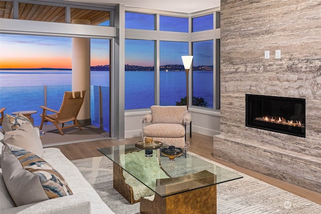 living room with wood-type flooring, a water view, and a stone fireplace