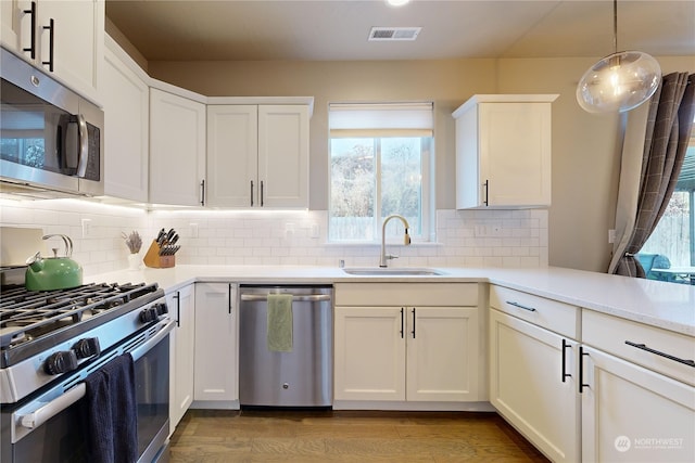 kitchen featuring light wood-type flooring, stainless steel appliances, a healthy amount of sunlight, and sink