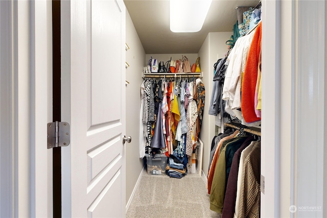 spacious closet featuring carpet flooring