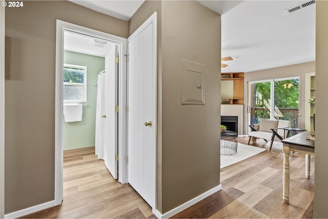 corridor featuring electric panel, light hardwood / wood-style floors, and a wealth of natural light