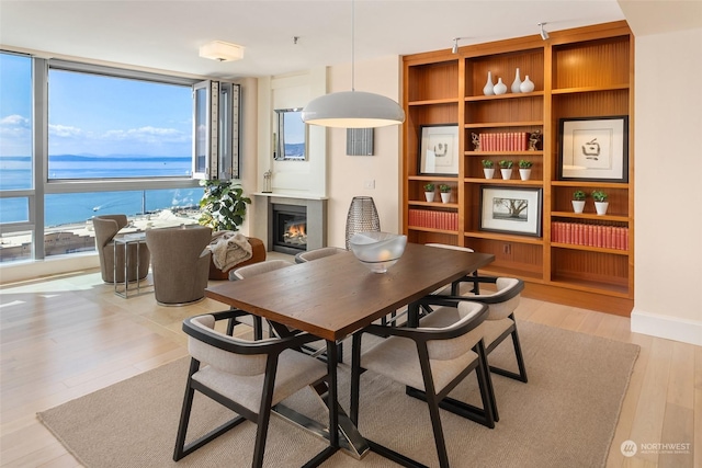 dining area featuring light hardwood / wood-style flooring and a water view