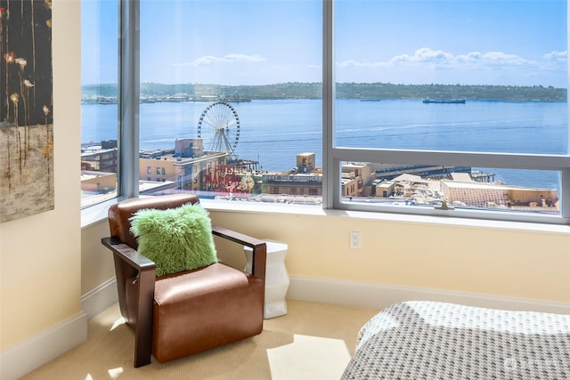 bedroom with carpet, a water view, and multiple windows