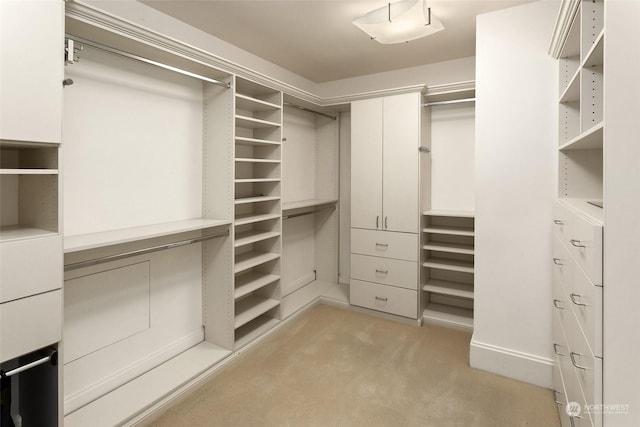 walk in closet with light colored carpet