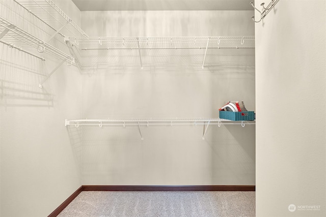 spacious closet featuring carpet