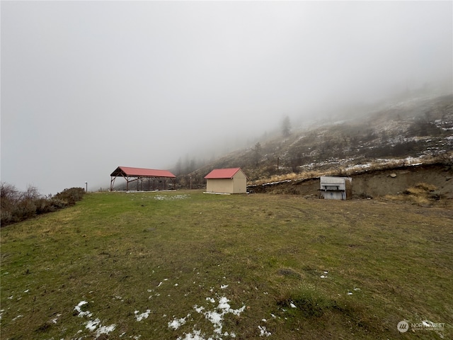 view of yard with a storage shed