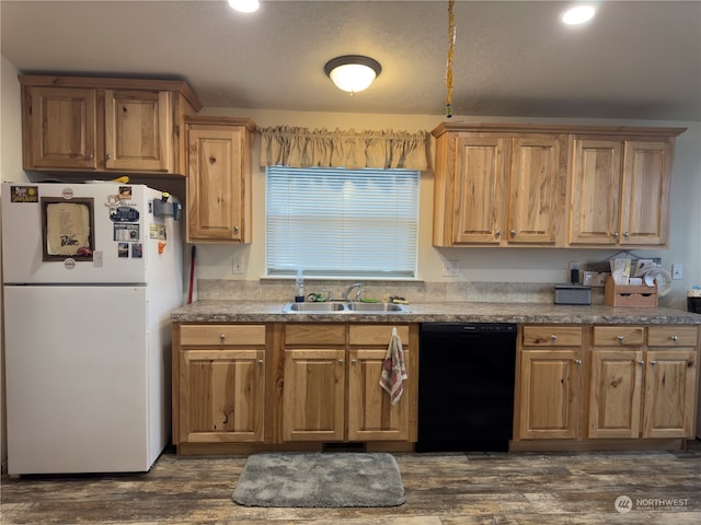 kitchen with sink, white fridge, dark hardwood / wood-style floors, and black dishwasher