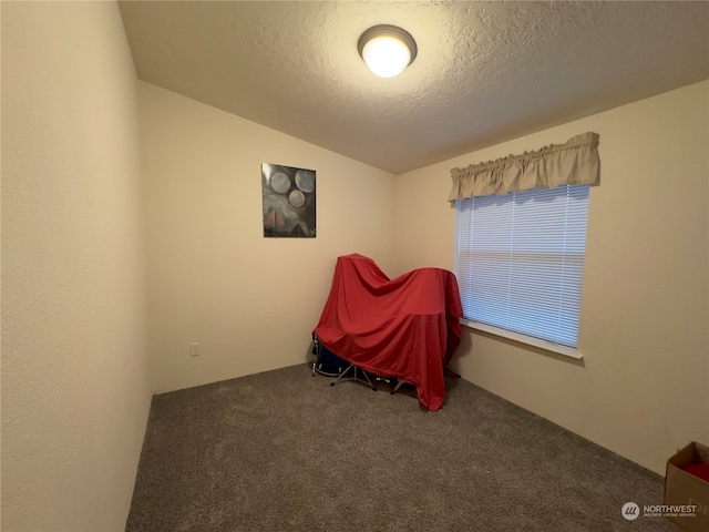 interior space with a textured ceiling and vaulted ceiling