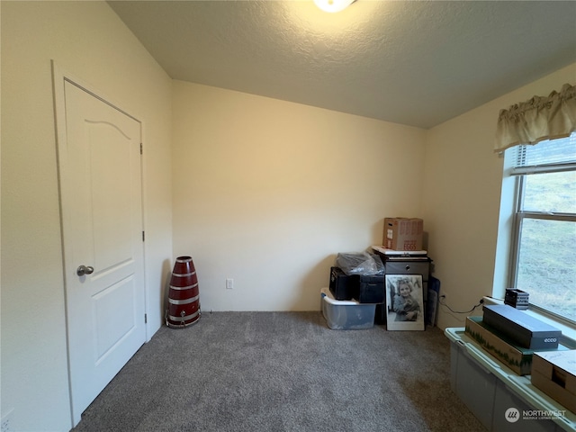 miscellaneous room featuring dark carpet and a textured ceiling