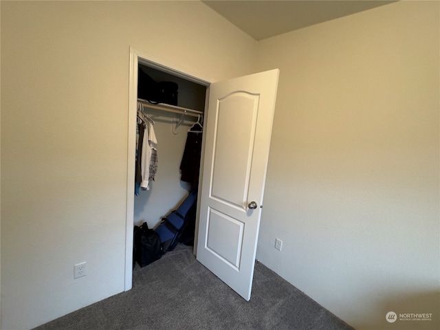 view of closet