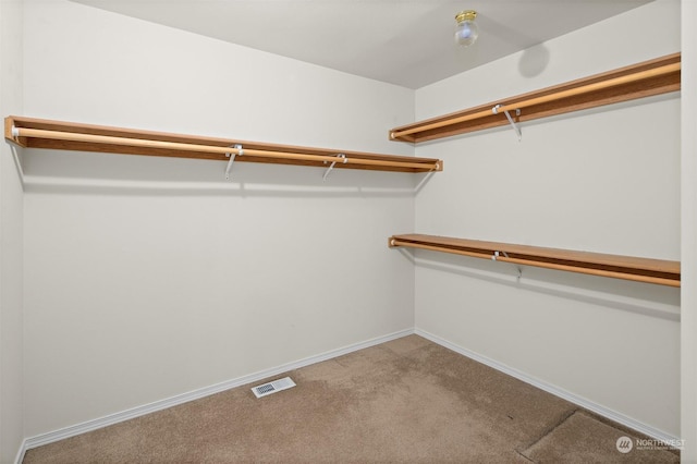 spacious closet featuring light carpet