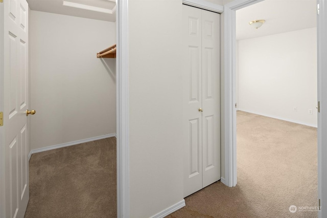 walk in closet featuring carpet