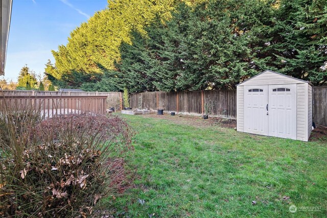 view of yard with a storage unit