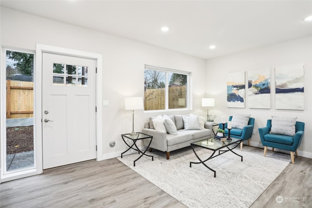 living room with light wood-type flooring