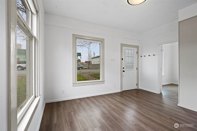 entryway featuring a healthy amount of sunlight and dark wood-type flooring