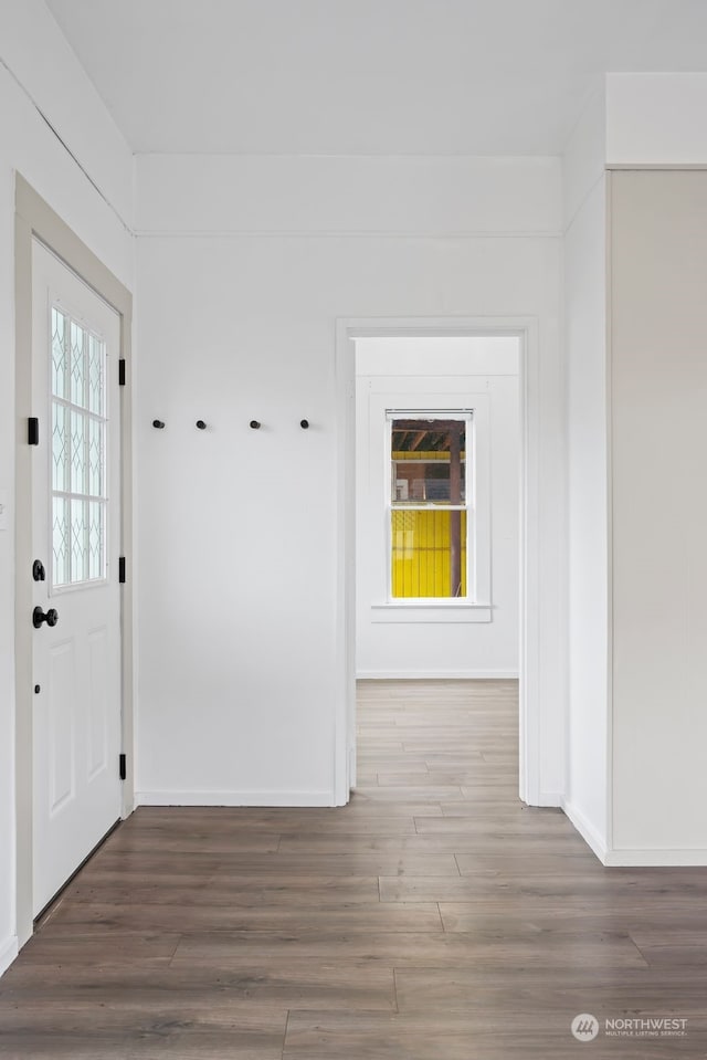 interior space featuring dark wood-type flooring