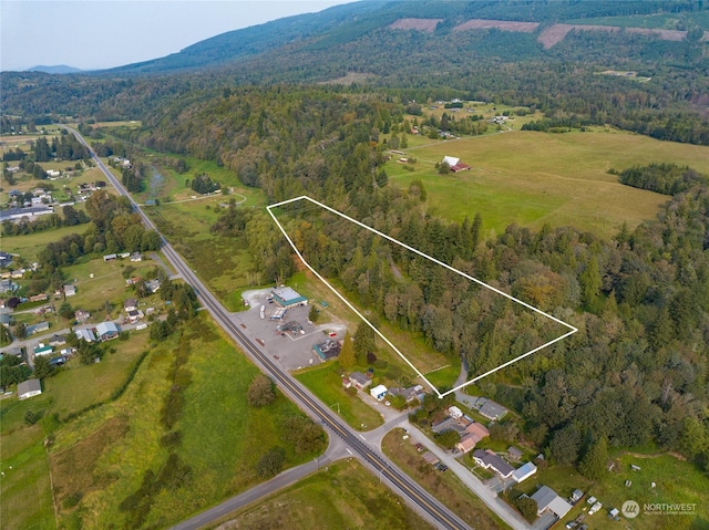 31434 Prevedell Rd, Lyman WA, 98263 land for sale