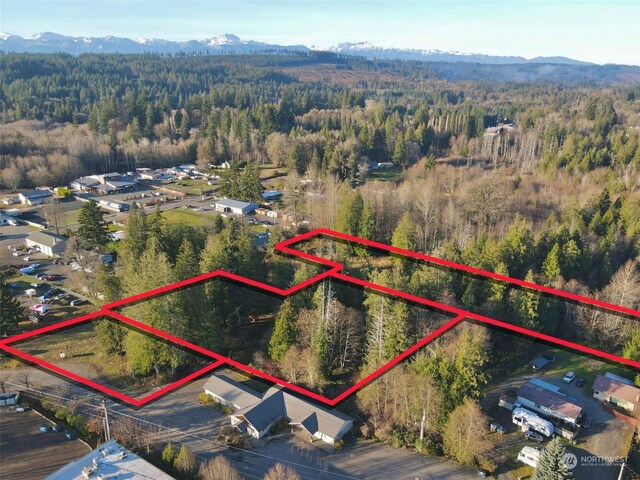 25 NE Roy Boad Rd, Belfair, WA 98528 - photo 16