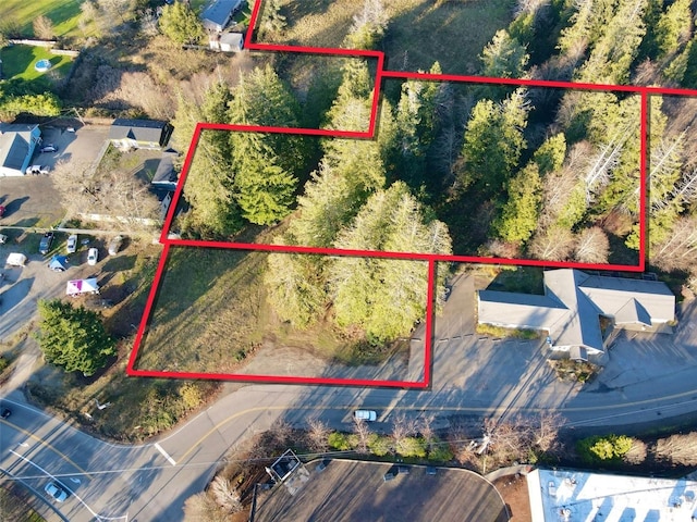 25 NE Roy Boad Rd, Belfair, WA 98528 - photo 26
