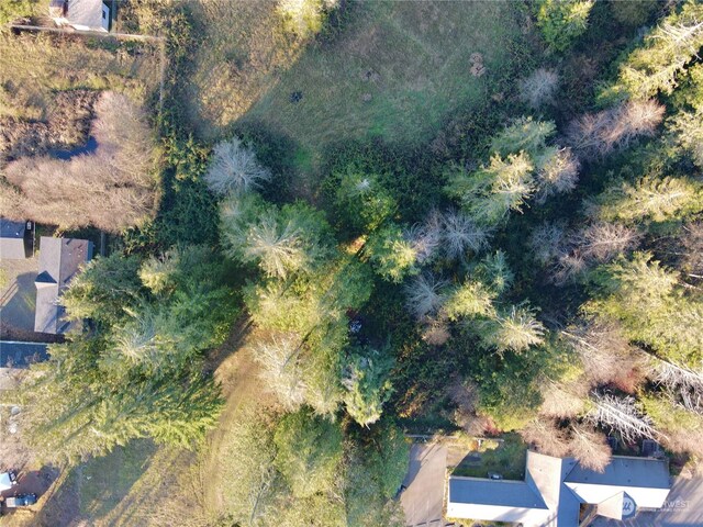 25 NE Roy Boad Rd, Belfair, WA 98528 - photo 27