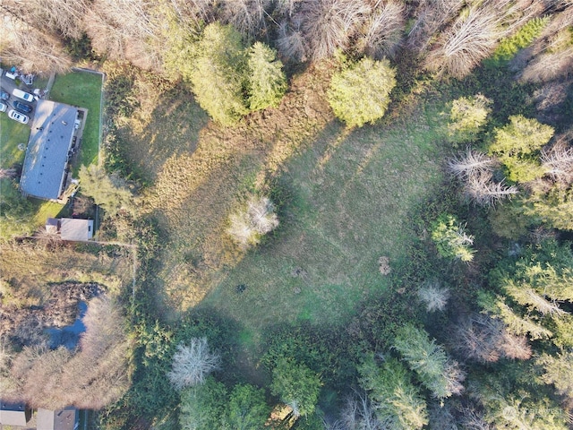 25 NE Roy Boad Rd, Belfair, WA 98528 - photo 28
