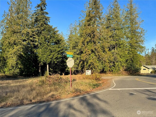 25 NE Roy Boad Rd, Belfair, WA 98528 - photo 18