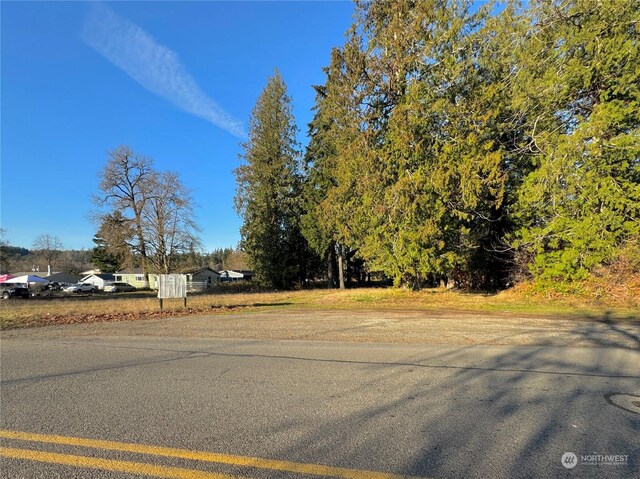 25 NE Roy Boad Rd, Belfair, WA 98528 - photo 19