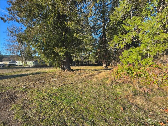 25 NE Roy Boad Rd, Belfair, WA 98528 - photo 14