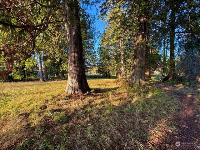 25 NE Roy Boad Rd, Belfair, WA 98528 - photo 32