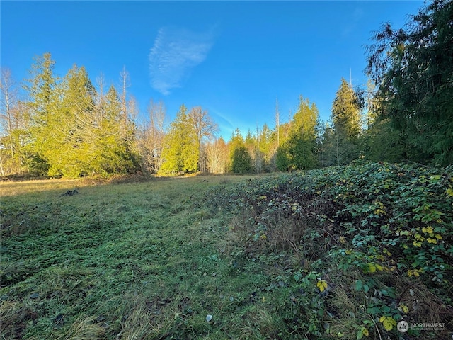 25 NE Roy Boad Rd, Belfair, WA 98528 - photo 30