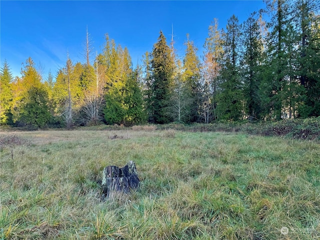 25 NE Roy Boad Rd, Belfair, WA 98528 - photo 29