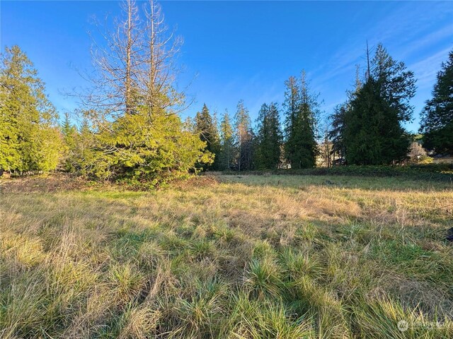 25 NE Roy Boad Rd, Belfair, WA 98528 - photo 4