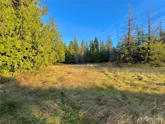 25 NE Roy Boad Rd, Belfair, WA 98528 - photo 11