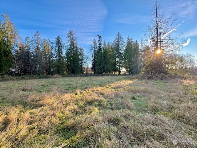 25 NE Roy Boad Rd, Belfair, WA 98528 - photo 31