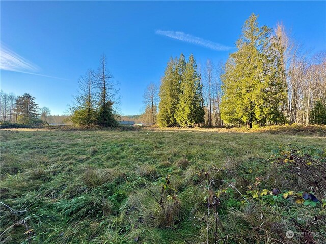 25 NE Roy Boad Rd, Belfair, WA 98528 - photo 22