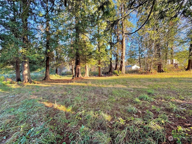 25 NE Roy Boad Rd, Belfair, WA 98528 - photo 15