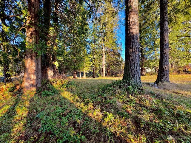 25 NE Roy Boad Rd, Belfair, WA 98528 - photo 21