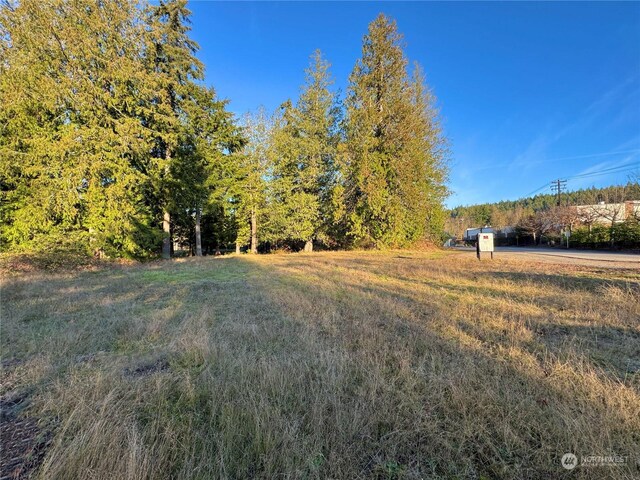 25 NE Roy Boad Rd, Belfair, WA 98528 - photo 10