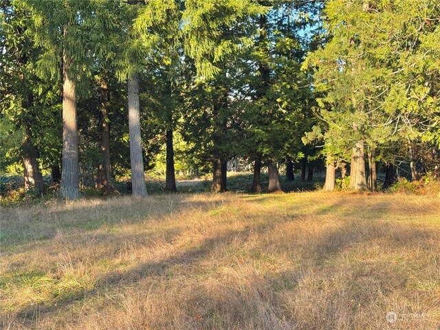 25 NE Roy Boad Rd, Belfair, WA 98528 - photo 17