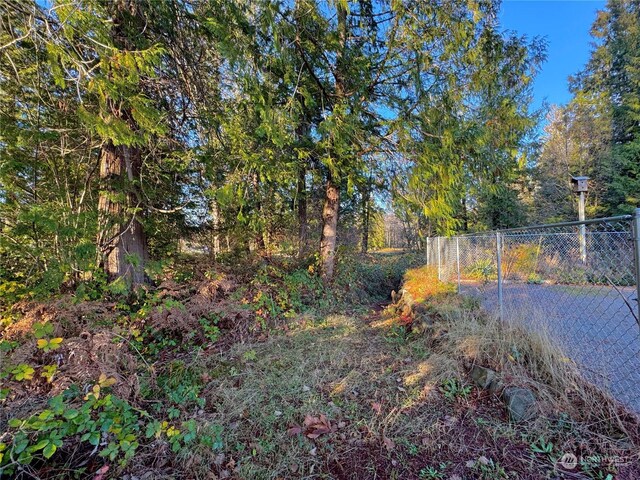 25 NE Roy Boad Rd, Belfair, WA 98528 - photo 38