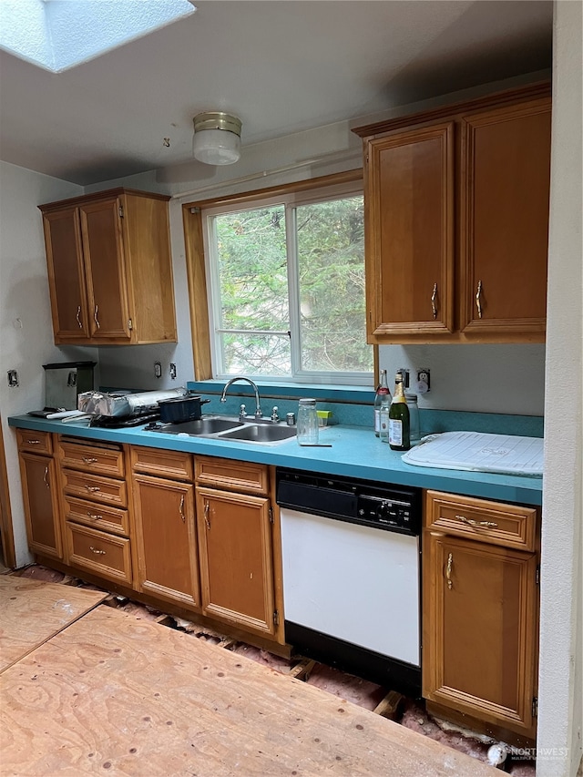 kitchen featuring white dishwasher, sink, and hardwood / wood-style flooring