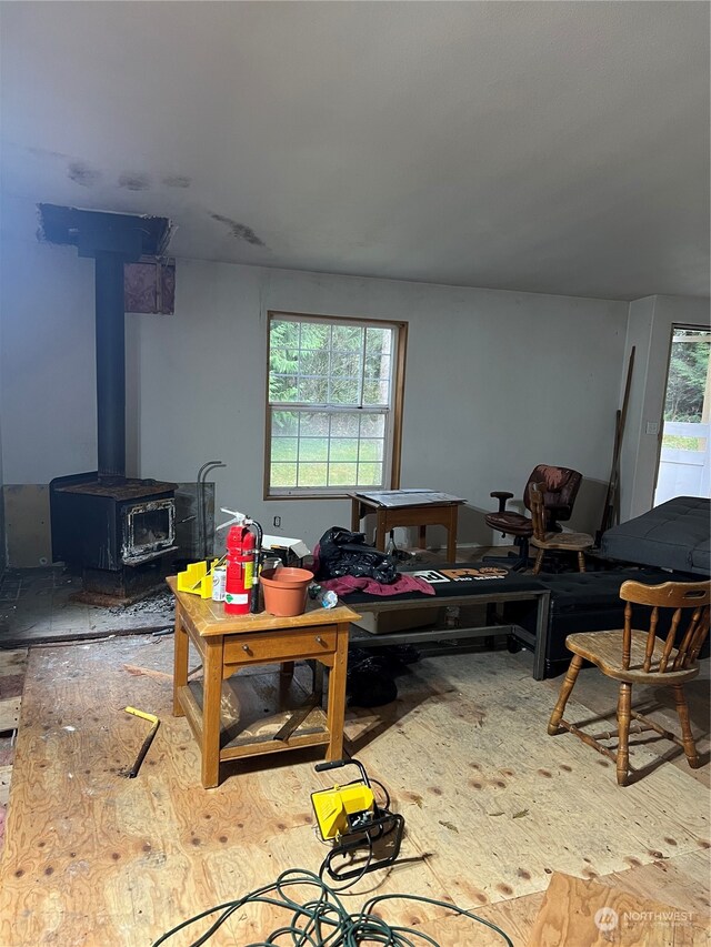 living room featuring a wood stove and plenty of natural light