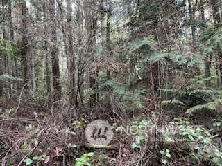 0 Eye St, Port Townsend WA, 98368 land for sale