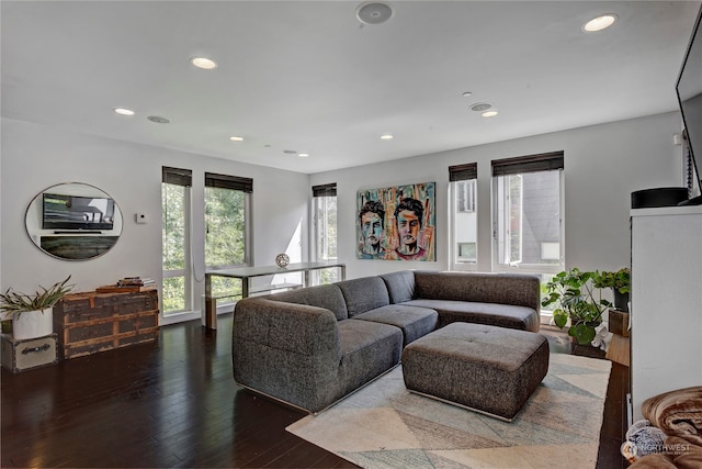 living room with dark hardwood / wood-style flooring