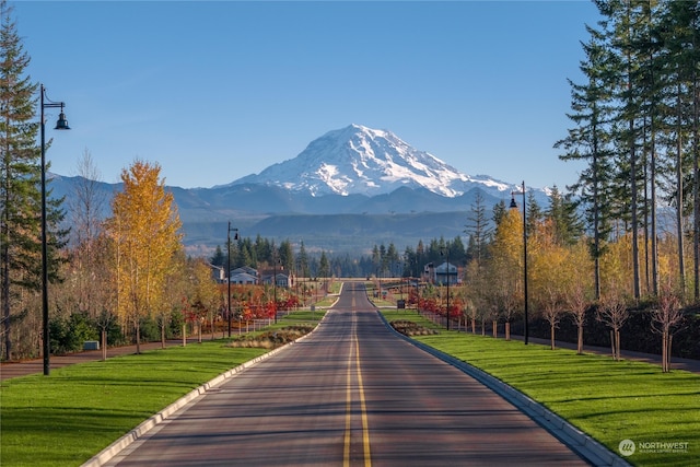 view of community featuring a mountain view and a lawn